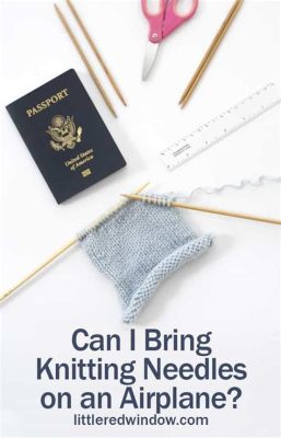 can you bring embroidery needles on a plane: Delving into the Intricacies of Airport Security and Handicraft Supplies